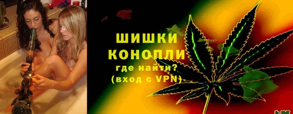 PSILOCYBIN Вязники